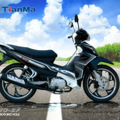 110cc Cub TM110-2f图1