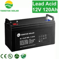 Yangtze Inverter Battery Backup Charger 12V 120ah Lead Acid Batteries