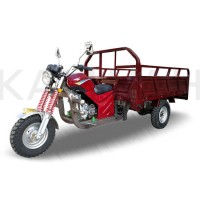 Tricycle 150cc Motor Trike Three Wheel Tricycle Gasoline Tricycle Motorcycle Cargo Loader Q3