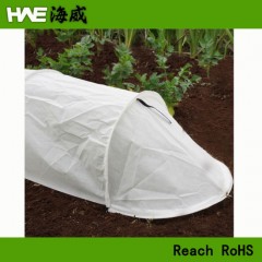 Protection Growth Tunnel Greenhouse for Planting图1