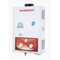 12L Instant Spare Part LPG Geyser Portable Gas Hot Water Heater[Jsd-Pfbt1]