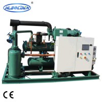 -5~40 Celsius Cold / Frozen Storage Condensing Unit for Food Fresh with Bitzer Compressor Ce Certifi