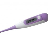 Digital Thermometer Pen-Type Digital Thermomete (DT-111D)