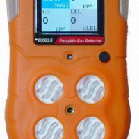 Portable Multi-Gas Detector User Manual (BX616)