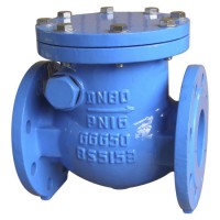 Swing Check Valve  BS5153 Pn16