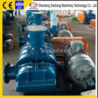 Dsr50V Roots Vacuum Blower Manufacturer for Biogas Suction and Discharge
