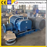 Dsr350g Roots Rotary Positive Displacement Blower with Motor