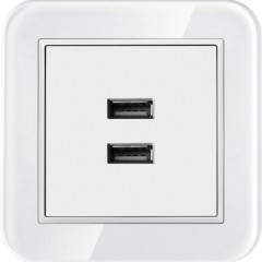 Wall Socket Switch Plates African Standard Double USB 2A Socket图1