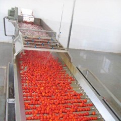 2-20TPH tomato ketchup manufacturing euqipment / tomato sauce processing plant图1