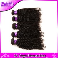 Human Hair Extension Kinky Curly Virgin Hair Rosa Hair Products