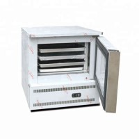 Commercial Refrigerator Blast Freezer for Fresh Fish Meat Cake Frozen Dumplings Temperature Below to