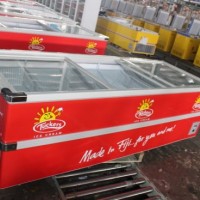 2.5m Jumbo Island Glass Door Freezer (SD/SC-980)