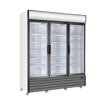 Supermarket Commercial Glass Door Display Upright Freezer