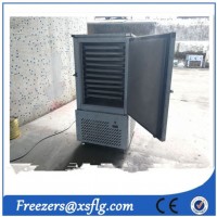 -35 C Fast Freezer/Blast Freezer (CE approval)