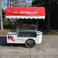 1 Year Warranty Hot Selling Good Design Ice Cream Trucks Mobile Food Cart