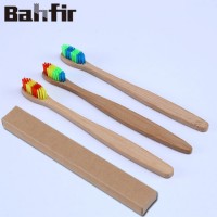 Rainbow Biodegradable Custom Logo Bamboo Toothbrush