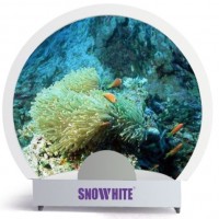 Snowhite 4 Meters Abnormal Shape Dome Screen / 180 View Angle 1 /4 Spherical Projection Screen