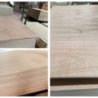 20 Ears of Production Experience for Door Skin Plywood