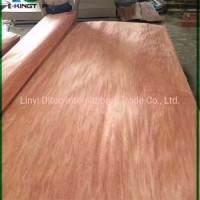 0.1-1mm Natural Wood of Bintangor/Birch /Okoume/Plb Mlh Veneer