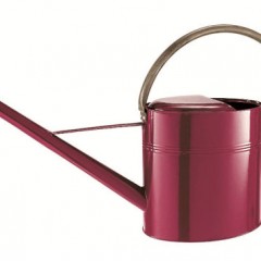 Metal Vintage Watering Can 9 Liter图1