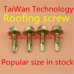 Self Drilling Screw Tek Screw Roofing Screw/Bi Metal Screw图1