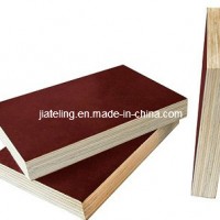 Brown Construction Plywood  Film Faced Plywood