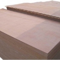 Furniture Grade Bintangor Plywood  Plywood Manufacturer