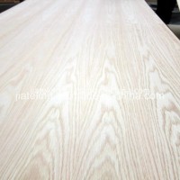 1220x2440mm AAA Grade Red/White Oak Fancy Veneer Faced Plywood (JT-3002)