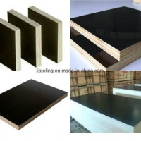 Construction Plywood with Black Film