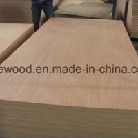 BB/BB Grade Eucalyptus or Poplar Core Bintangor Plywood