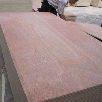 5mm Poplar Core Bintangor Plywood for Asia Market