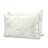 Bamboo Cover with Shredded Memory Foam Pillow