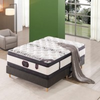 Double Euro Top Spring Mattress with Memory Foam Soft Foam