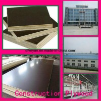 Finger Joint Poplar Wood Laminated Shuttering Plywood for Construction Plywood