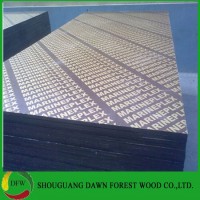 Building Materials Black/Brown Film Faced Plywood