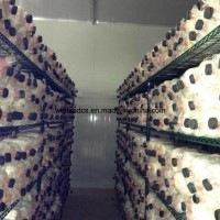 Green Epoxy Coated Commercial 5 Shelves Wire Metal Mushroom Growing Storage Rack