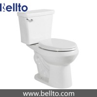 Siphonic system water closet (361)