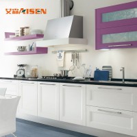 New Kitchen Trends White Lacquer Shaker Kitchen Cabinet in Australia Market