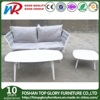 Modern Bandage Weaving Garden Sofa with Water-Proof Cushion Tape Sofa Outdoor Furniture Indoor Furni