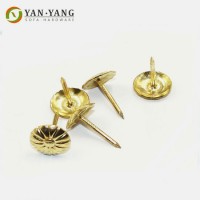 Chinese Factory Supply Top Quality Golden Decorative Nail for Sofa