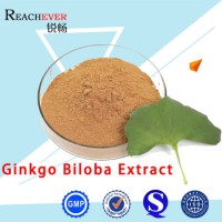 Natural Plant Extract Ginkgo Biloba Powder with GMP Certification