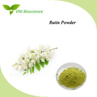 ISO SGS Certified Flos Sophorae Extract/Sophora Flower Plant Extract/Rutin Powder