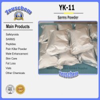 Bodybuilding Sarms Powder Yk-11 / Yk 11 for Muscle Growth CAS 431579-34-9