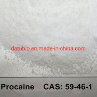 99% Procaine Hydrochloride  Procaine HCl Powder  51-05-8/Procaine Powder CAS 59-46-1 for Sale