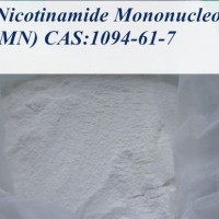 Hot Selling 99.6% Beta-Nicotinamide Mononucleotide 1094-61-7 Nmn Anti-Aging Raw Powder Manufacturer