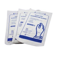 Latex Surgical Gloves  Latex Examination Glove