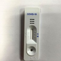 Igm/Igg Rapid Test Supplier