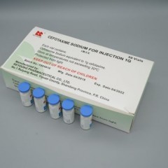 Cefotaxime Sodium for Injection 0.25g 0.5g 1.0g I. V. I. M.图1