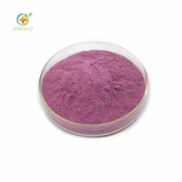 100% Natural Blueberry Extract Powder Pure Anthocyanosides