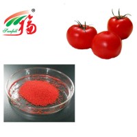 Natural Tomato Extract Lycopene Tomato Extract